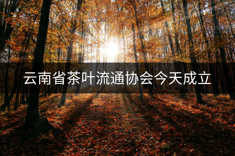云南省茶葉流通協(xié)會今天成立