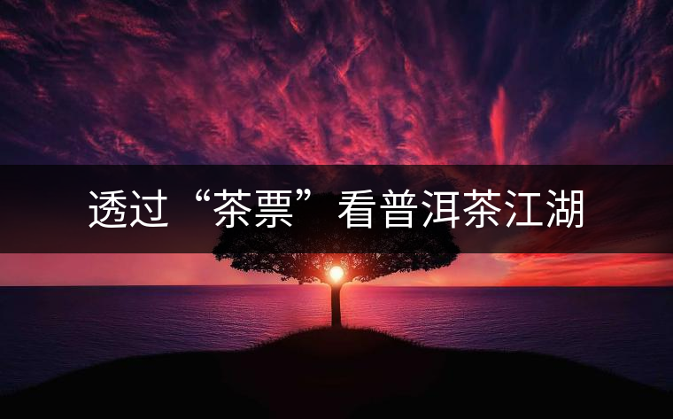 透過(guò)“茶票”看普洱茶江湖