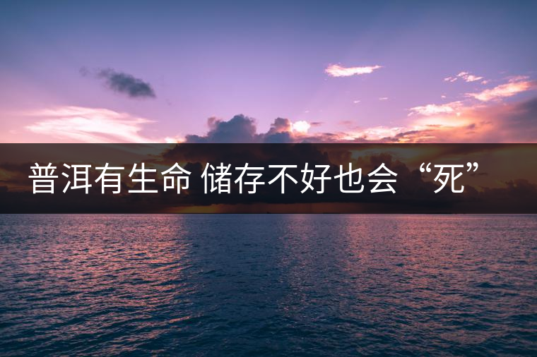 普洱有生命 儲(chǔ)存不好也會(huì)“死”去