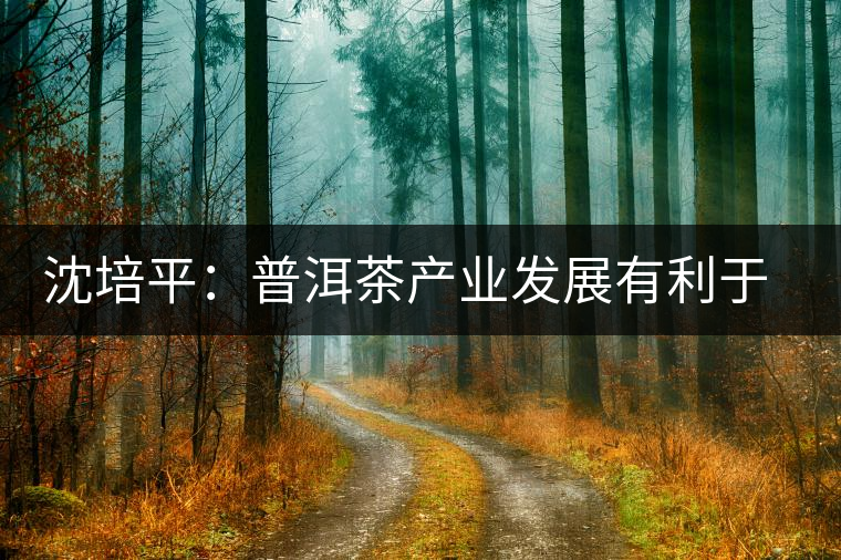 沈培平：普洱茶產(chǎn)業(yè)發(fā)展有利于人民健康