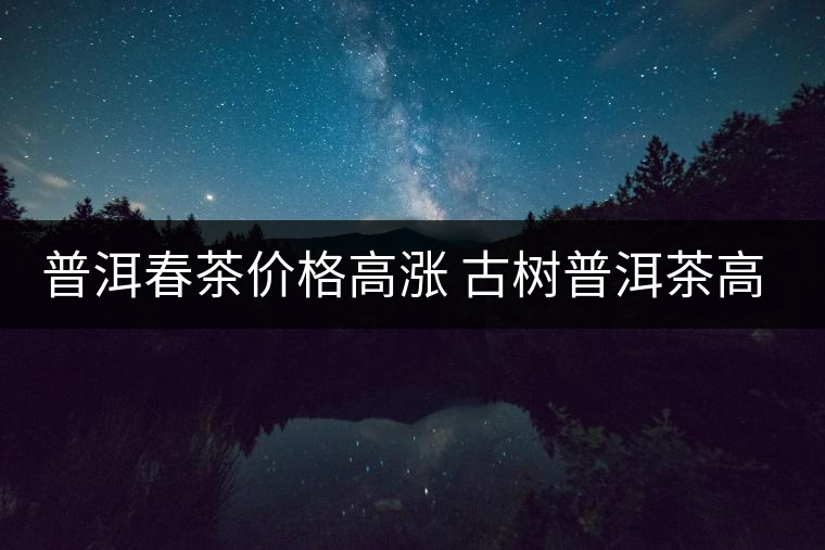 普洱春茶價(jià)格高漲 古樹(shù)普洱茶高開(kāi)后路在何方？