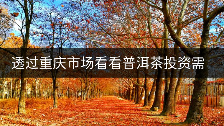透過重慶市場看看普洱茶投資需要注意些什么？