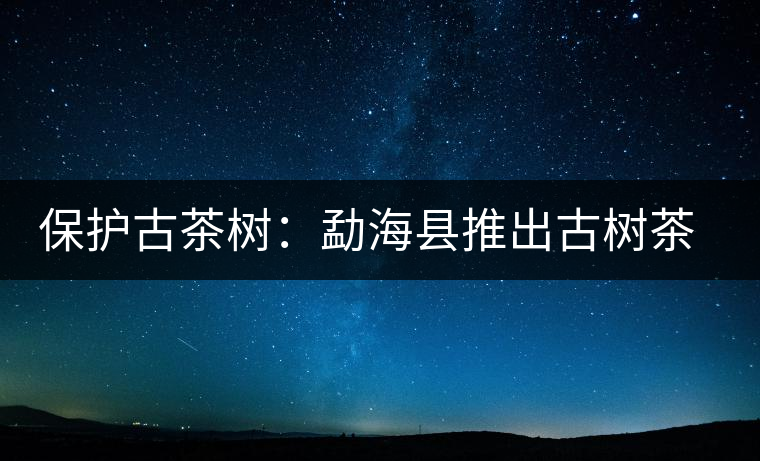 保護(hù)古茶樹(shù)：勐?？h推出古樹(shù)茶認(rèn)養(yǎng)活動(dòng)
