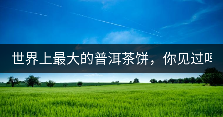 世界上最大的普洱茶餅，你見過嗎？