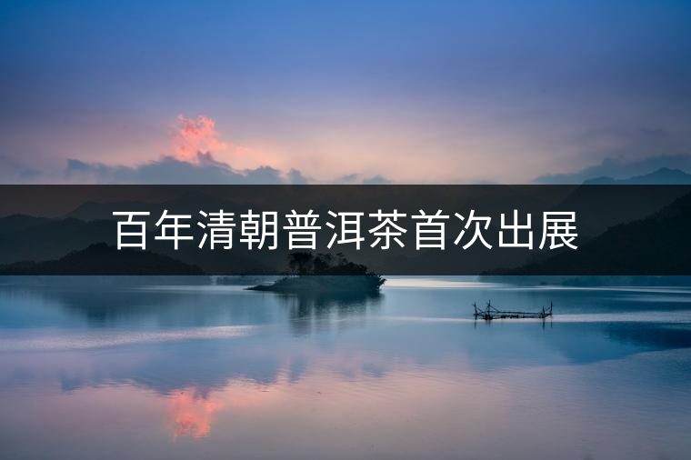 百年清朝普洱茶首次出展