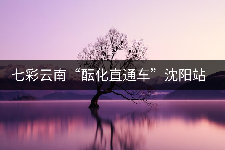 七彩云南“醞化直通車”沈陽(yáng)站現(xiàn)場(chǎng)多款經(jīng)典茶品獲好評(píng)