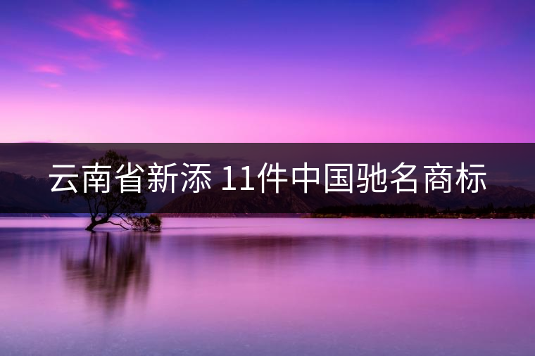 云南省新添 11件中國馳名商標(biāo)