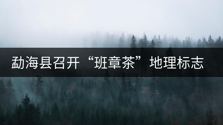 勐?？h召開“班章茶”地理標志認證評審會