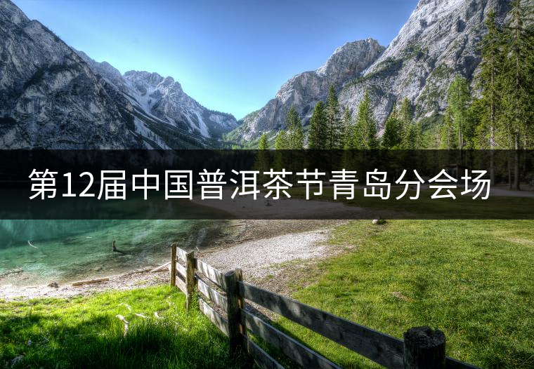 第12屆中國普洱茶節(jié)青島分會場昨推出重磅講座