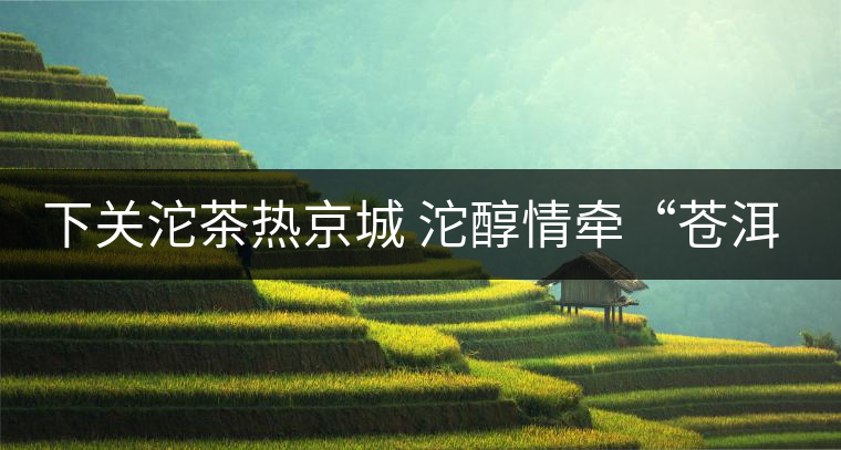 下關沱茶熱京城 沱醇情牽“蒼洱”緣 下關沱茶熱京城 沱醇情牽“蒼洱”緣