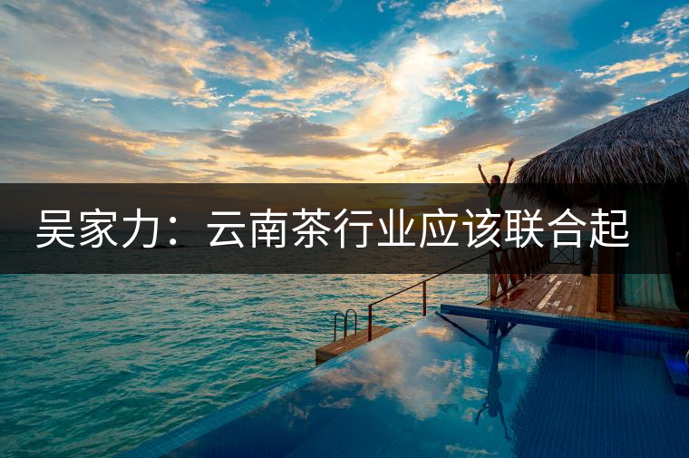 吳家力:云南茶行業(yè)應該聯(lián)合起來 吳家力:云南茶行業(yè)應該聯(lián)合起來