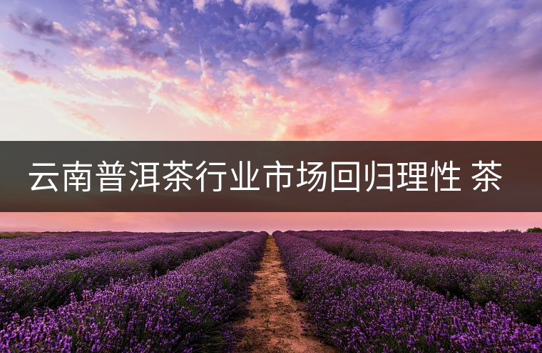 云南普洱茶行業(yè)市場回歸理性 茶商發(fā)力消費市場