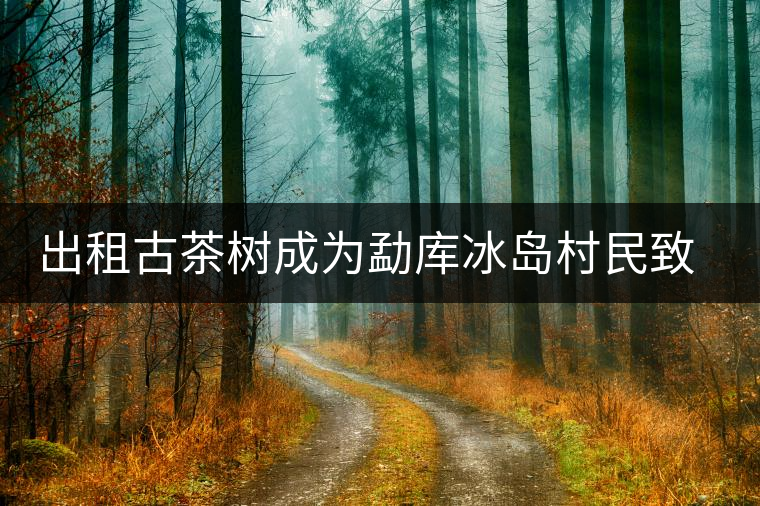 出租古茶樹成為勐庫冰島村民致富新行當(dāng)