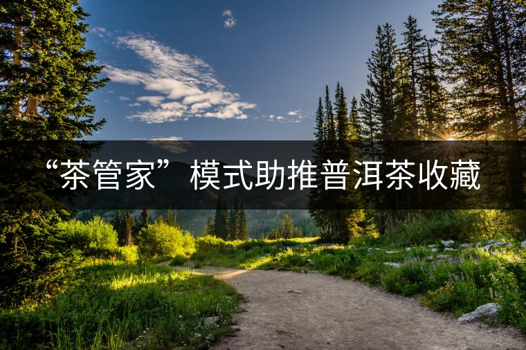 “茶管家”模式助推普洱茶收藏之風(fēng)