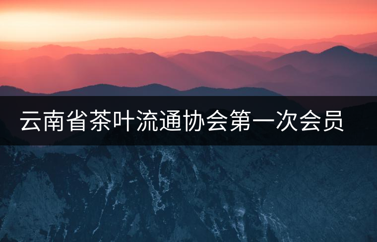 云南省茶葉流通協(xié)會第一次會員代表大會在康樂茶文化城召開