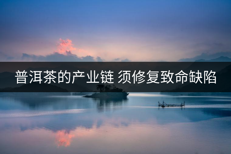 普洱茶的產(chǎn)業(yè)鏈 須修復(fù)致命缺陷