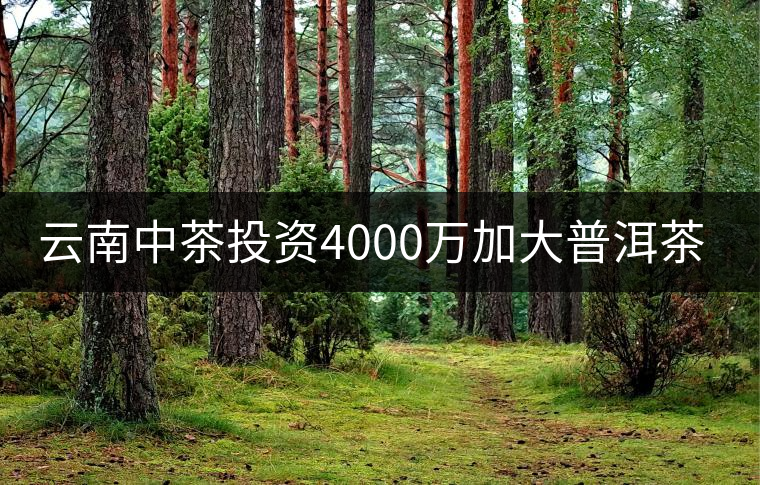 云南中茶投資4000萬(wàn)加大普洱茶生產(chǎn)能力