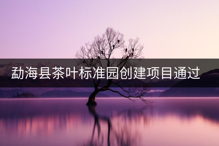 勐?？h茶葉標準園創(chuàng)建項目通過省級驗收