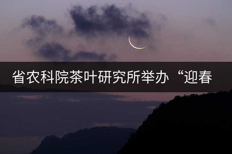 省農(nóng)科院茶葉研究所舉辦“迎春節(jié)、慶元旦”籃球聯(lián)誼賽