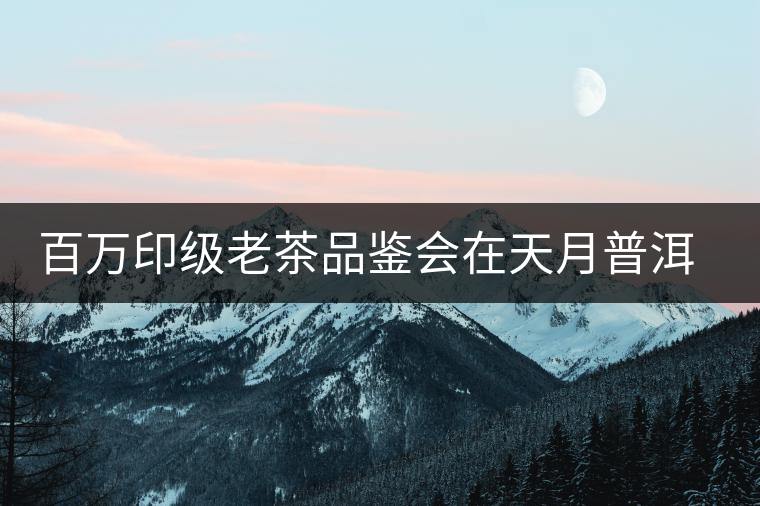 百萬印級老茶品鑒會在天月普洱館成功舉辦