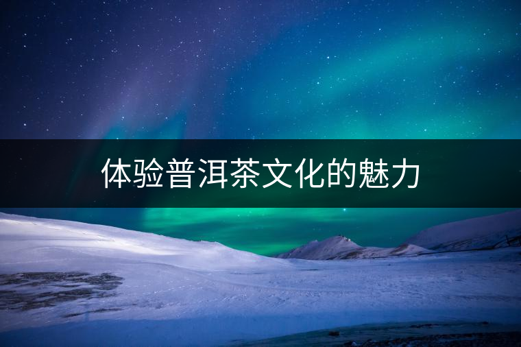 體驗普洱茶文化的魅力