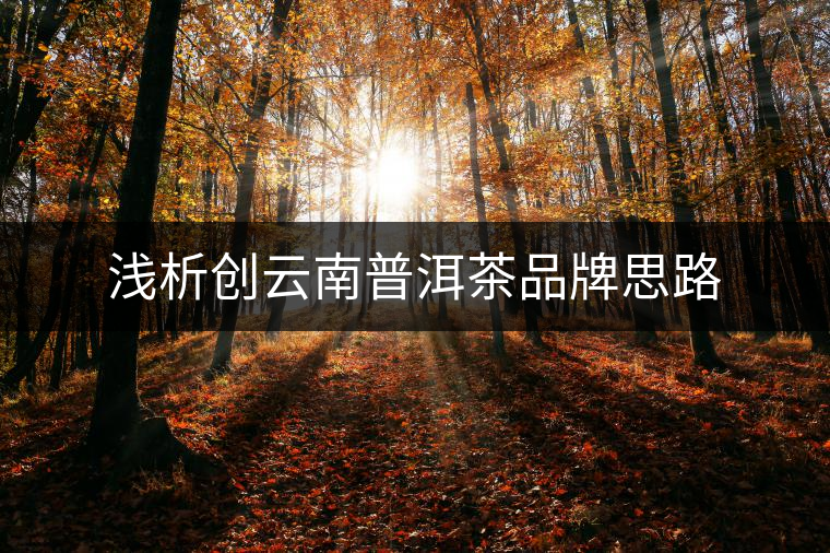 淺析創(chuàng)云南普洱茶品牌思路 淺析創(chuàng)云南普洱茶品牌思路