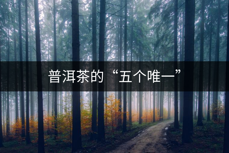 普洱茶的“五個(gè)唯一”