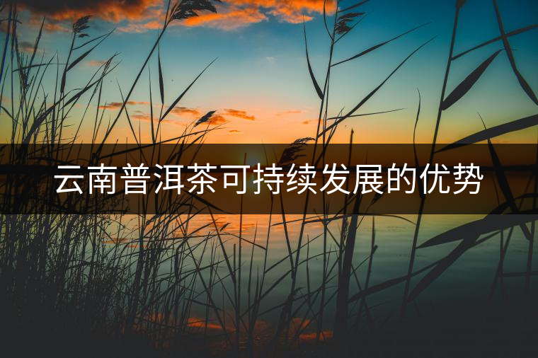 云南普洱茶可持續(xù)發(fā)展的優(yōu)勢
