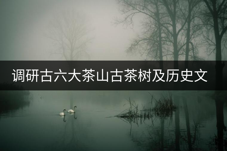 調(diào)研古六大茶山古茶樹及歷史文物保護(hù) 調(diào)研古六大茶山古茶樹及歷史文物保護(hù)