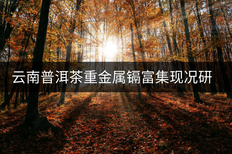 云南普洱茶重金屬鎘富集現(xiàn)況研究