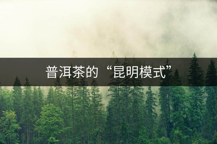普洱茶的“昆明模式”