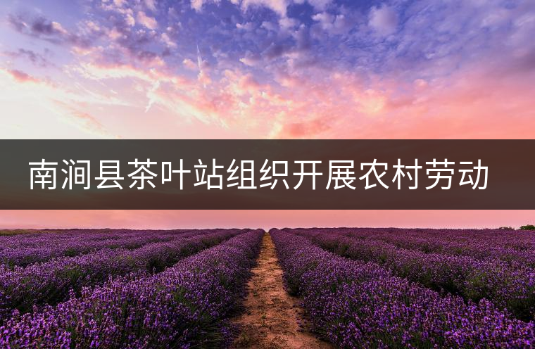 南澗縣茶葉站組織開展農(nóng)村勞動力轉(zhuǎn)移培訓(xùn) 南澗縣茶葉站組織開展農(nóng)村勞動力轉(zhuǎn)移培訓(xùn)