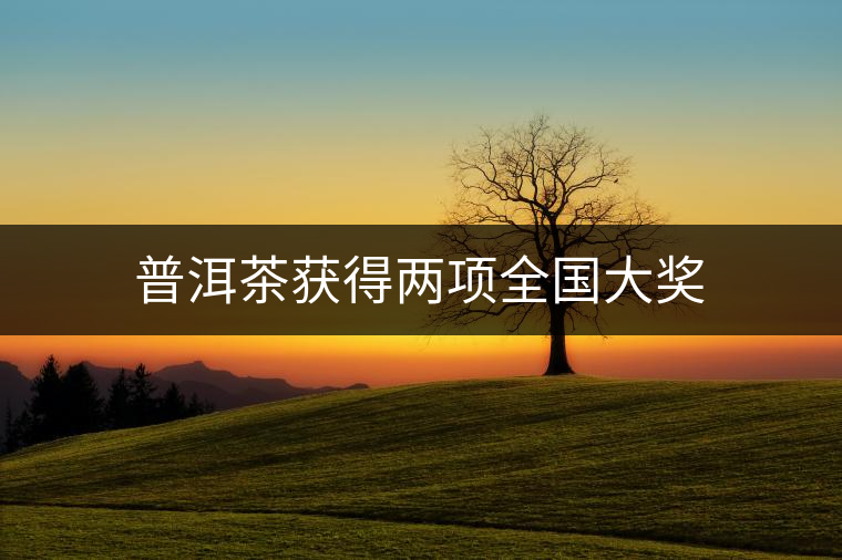 普洱茶獲得兩項全國大獎