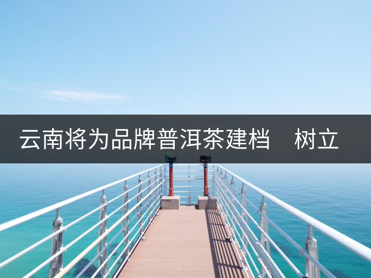 云南將為品牌普洱茶建檔 樹立產(chǎn)品整體形象 云南將為品牌普洱茶建檔 樹立產(chǎn)品整體形象