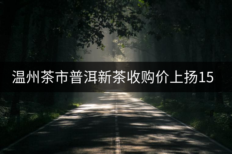 溫州茶市普洱新茶收購價上揚(yáng)15%