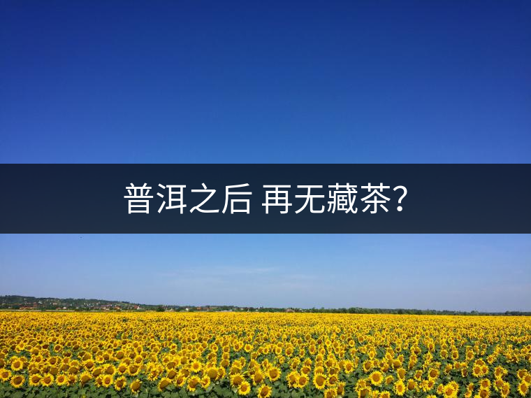 普洱之后 再無藏茶？