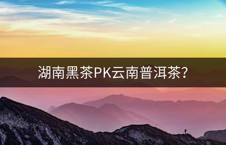 湖南黑茶PK云南普洱茶？