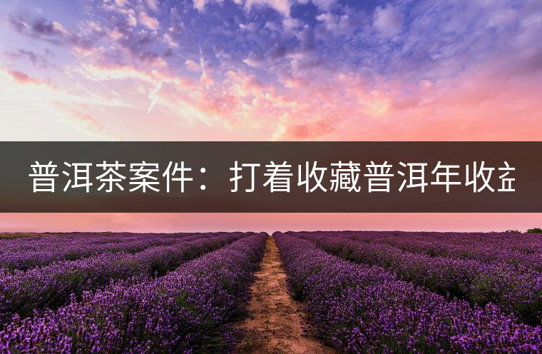 普洱茶案件：打著收藏普洱年收益不低于16%，非法吸收公眾存款