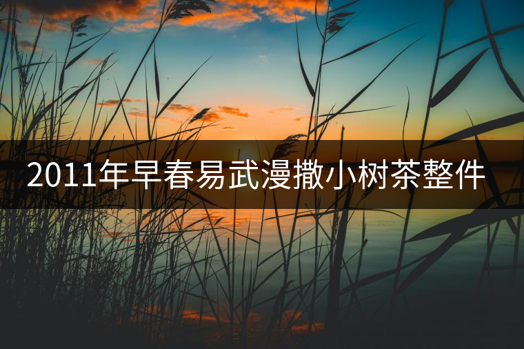 2011年早春易武漫撒小樹(shù)茶整件起批