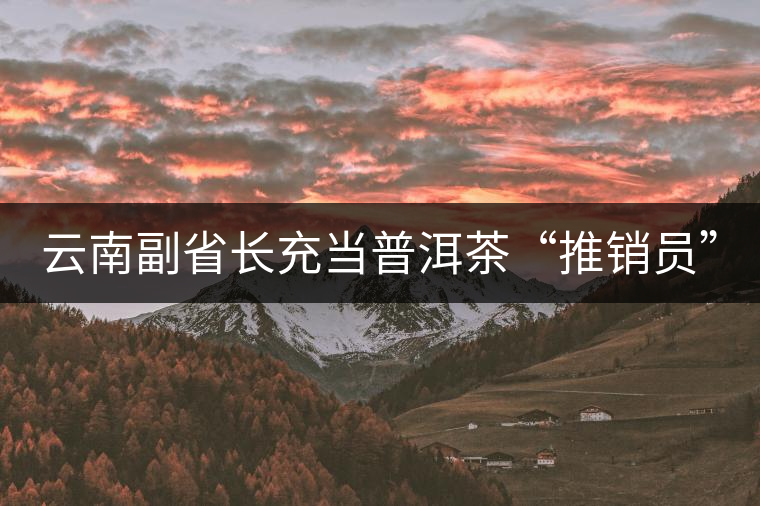 云南副省長(zhǎng)充當(dāng)普洱茶“推銷(xiāo)員”