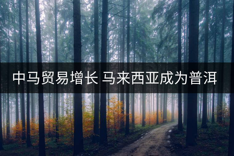 中馬貿易增長 馬來西亞成為普洱茶主要出口國