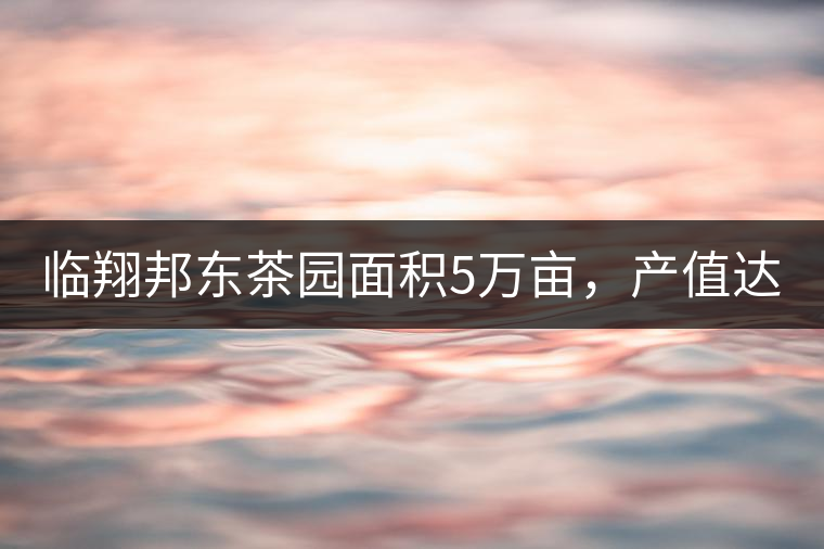臨翔邦東茶園面積5萬畝，產值達8000萬以上