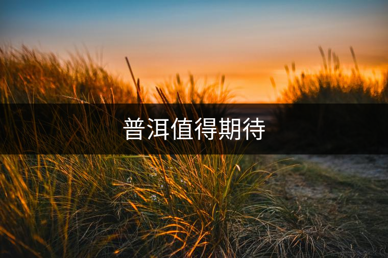 普洱值得期待
