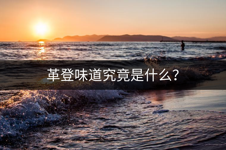 革登味道究竟是什么？