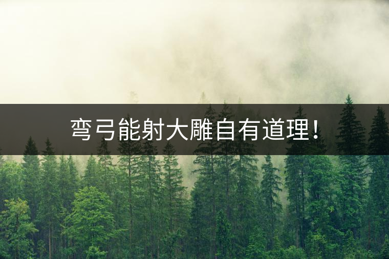 彎弓能射大雕自有道理！