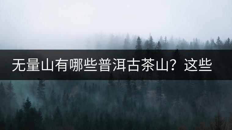 無(wú)量山有哪些普洱古茶山？這些古茶山的茶葉怎么樣？