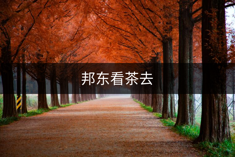 邦東看茶去