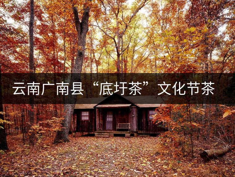 云南廣南縣“底圩茶”文化節(jié)茶品評會(huì)傳遞底圩傳統(tǒng)茶韻