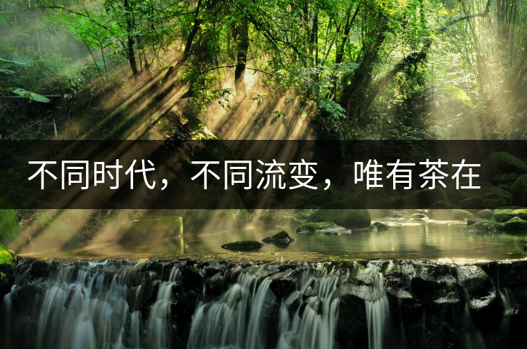 不同時(shí)代，不同流變，唯有茶在傳承