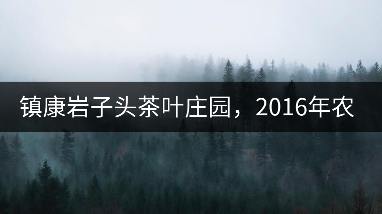 鎮(zhèn)康巖子頭茶葉莊園，2016年農(nóng)業(yè)產(chǎn)值達6000余萬元